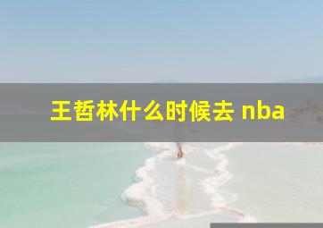 王哲林什么时候去 nba